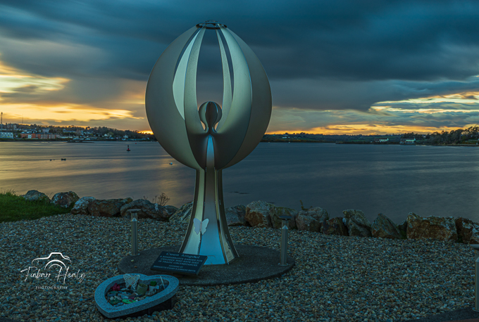 20230414 - Finbarr Healy